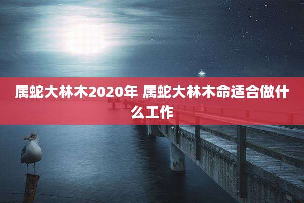 属蛇大林木2020年 属蛇大林木命适合做什么工作