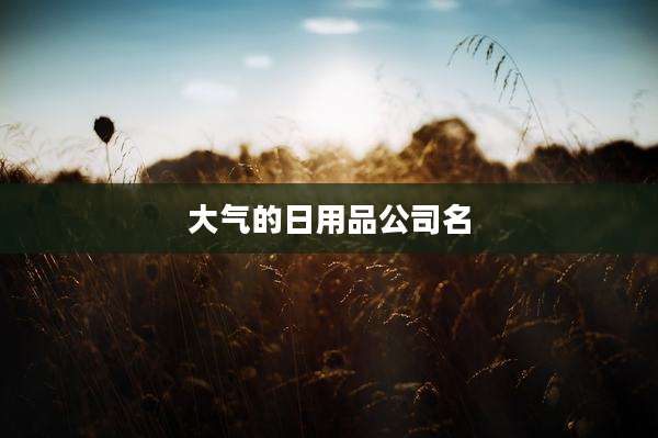 大气的日用品公司名