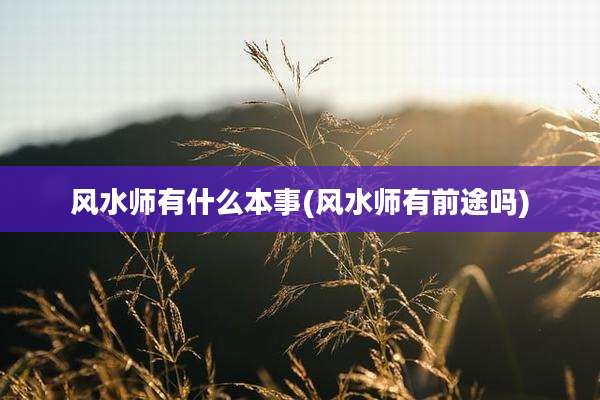 风水师有什么本事(风水师有前途吗)