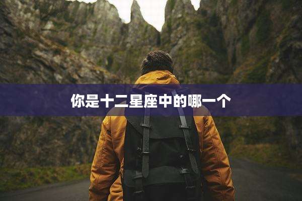 你是十二星座中的哪一个