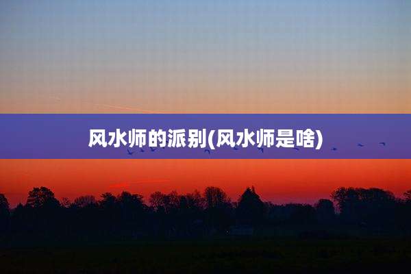 风水师的派别(风水师是啥)