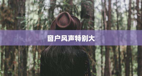 窗户风声特别大