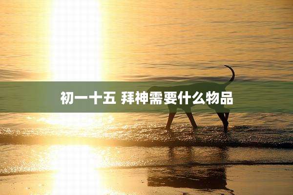 初一十五 拜神需要什么物品