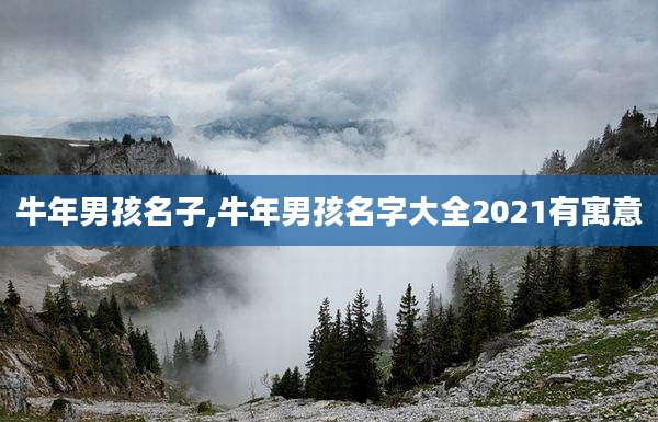 牛年男孩名子,牛年男孩名字大全2021有寓意
