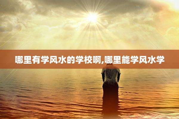 哪里有学风水的学校啊,哪里能学风水学