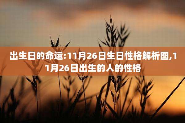 出生日的命运:11月26日生日性格解析图,11月26日出生的人的性格