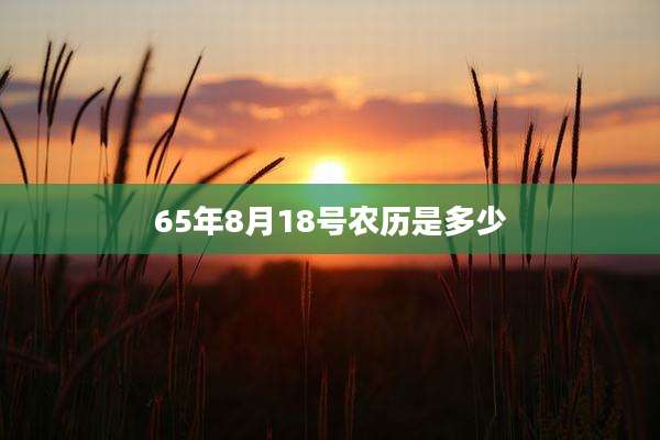 65年8月18号农历是多少
