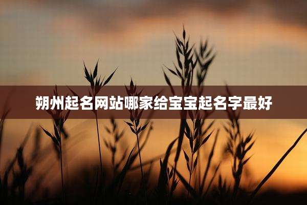 朔州起名网站哪家给宝宝起名字最好