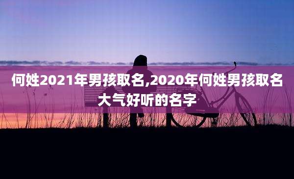 何姓2021年男孩取名,2020年何姓男孩取名大气好听的名字