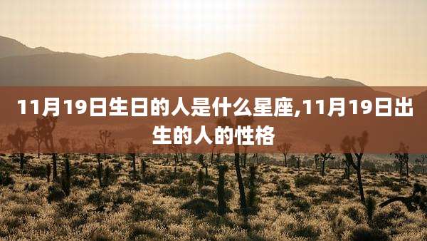 11月19日生日的人是什么星座,11月19日出生的人的性格