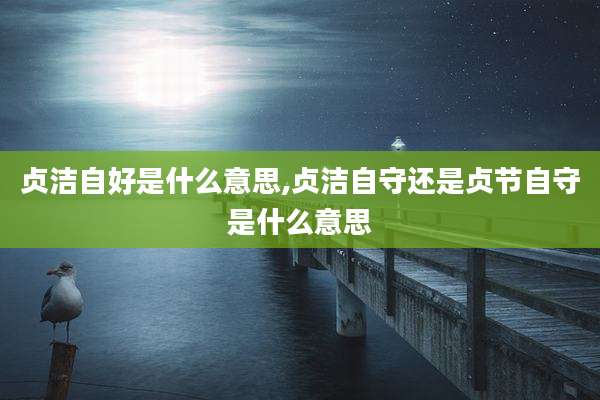 贞洁自好是什么意思,贞洁自守还是贞节自守是什么意思