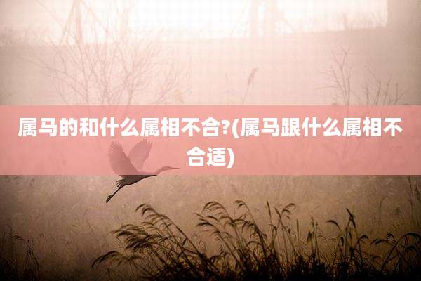 属马的和什么属相不合?(属马跟什么属相不合适)