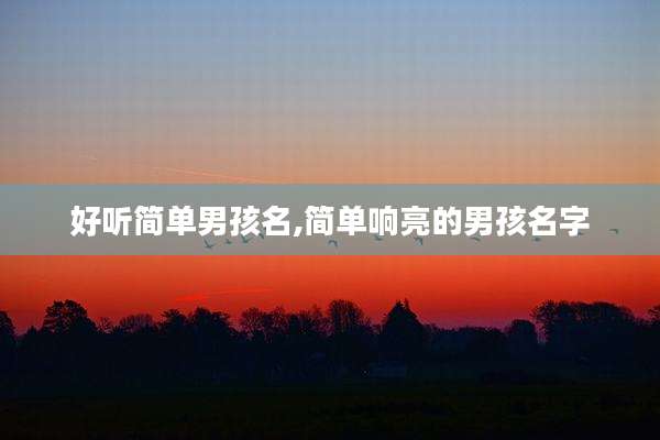 好听简单男孩名,简单响亮的男孩名字
