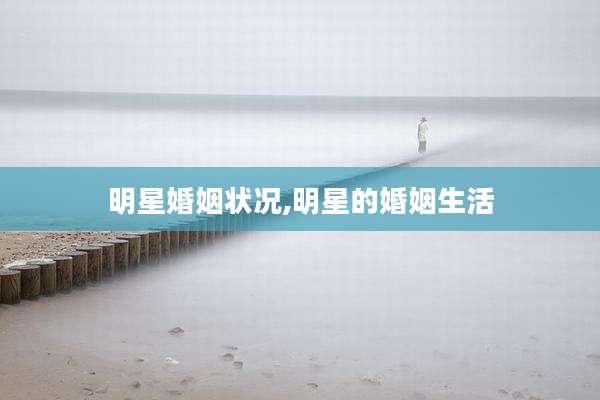 明星婚姻状况,明星的婚姻生活