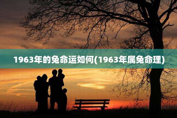 1963年的兔命运如何(1963年属兔命理)