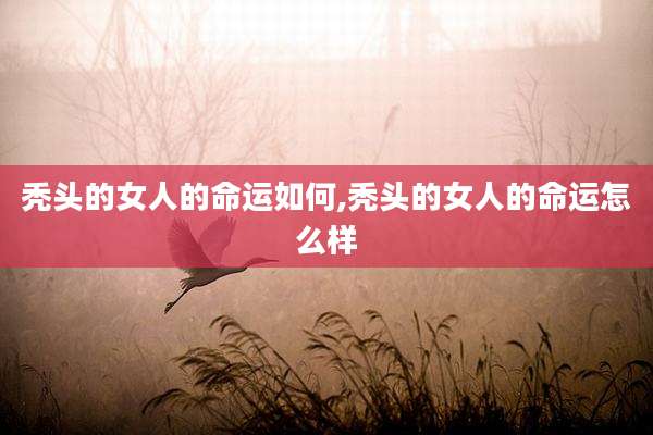 秃头的女人的命运如何,秃头的女人的命运怎么样
