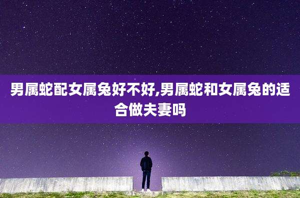 男属蛇配女属兔好不好,男属蛇和女属兔的适合做夫妻吗