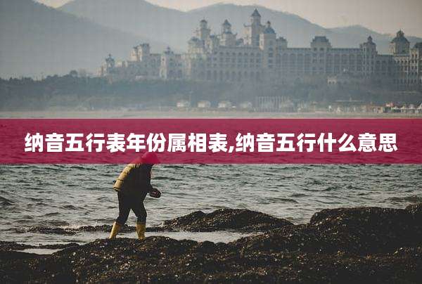 纳音五行表年份属相表,纳音五行什么意思