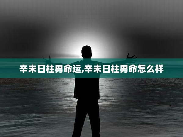 辛未日柱男命运,辛未日柱男命怎么样