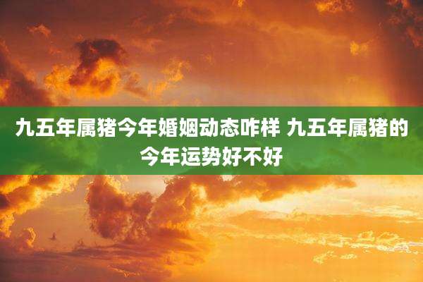 九五年属猪今年婚姻动态咋样 九五年属猪的今年运势好不好