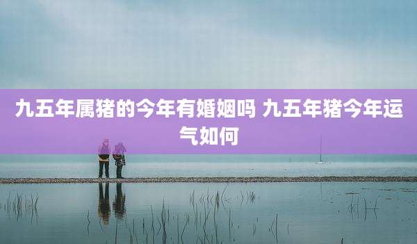 九五年属猪的今年有婚姻吗 九五年猪今年运气如何