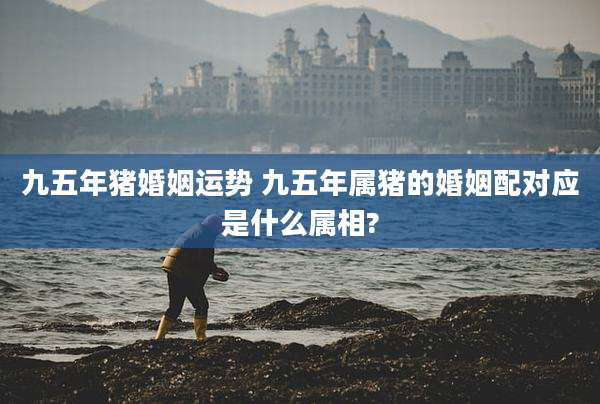 九五年猪婚姻运势 九五年属猪的婚姻配对应是什么属相?