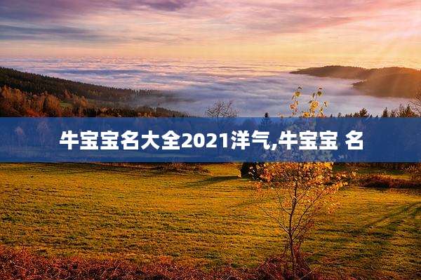 牛宝宝名大全2021洋气,牛宝宝 名