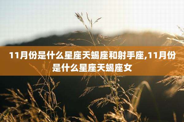 11月份是什么星座天蝎座和射手座,11月份是什么星座天蝎座女