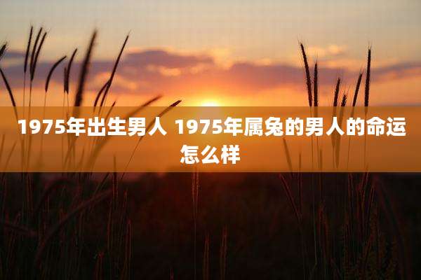 1975年出生男人 1975年属兔的男人的命运怎么样