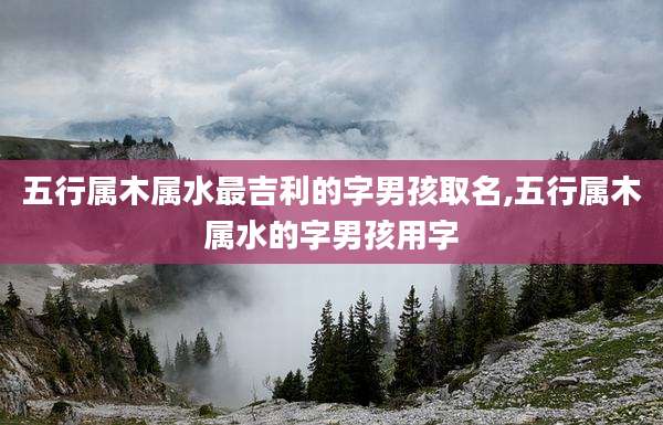 五行属木属水最吉利的字男孩取名,五行属木属水的字男孩用字
