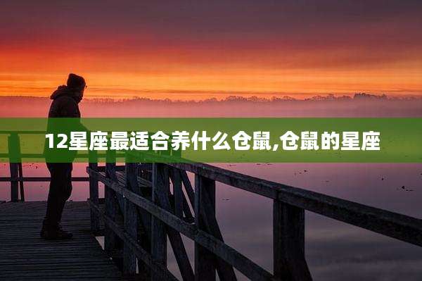 12星座最适合养什么仓鼠,仓鼠的星座