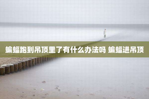 蝙蝠跑到吊顶里了有什么办法吗 蝙蝠进吊顶