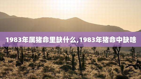 1983年属猪命里缺什么,1983年猪命中缺啥
