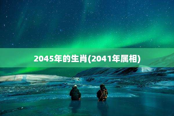 2045年的生肖(2041年属相)