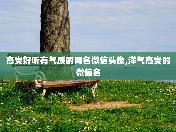 高贵好听有气质的网名微信头像,洋气高贵的微信名