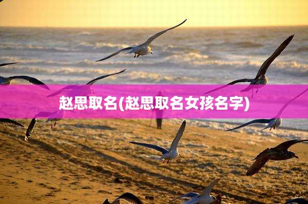 赵思取名(赵思取名女孩名字)