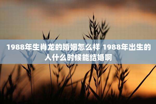 1988年生肖龙的婚姻怎么样 1988年出生的人什么时候能结婚啊