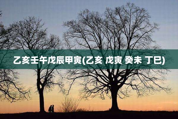 乙亥壬午戊辰甲寅(乙亥 戊寅 癸未 丁巳)