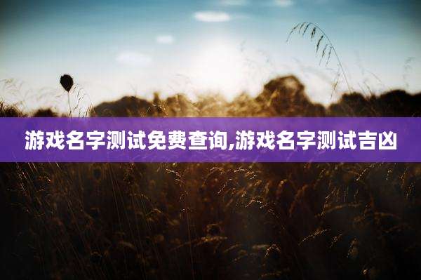 游戏名字测试免费查询,游戏名字测试吉凶