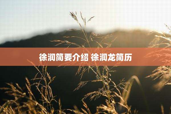 徐润简要介绍 徐润龙简历