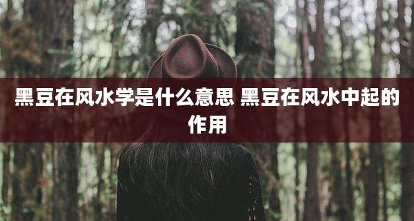 黑豆在风水学是什么意思 黑豆在风水中起的作用