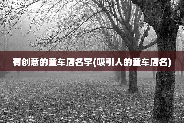 有创意的童车店名字(吸引人的童车店名)