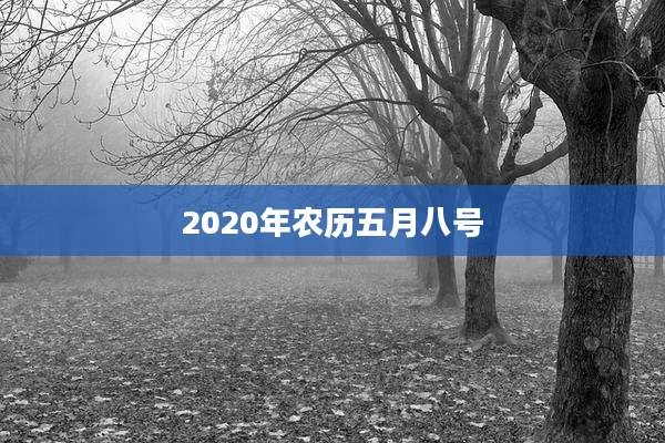 2020年农历五月八号