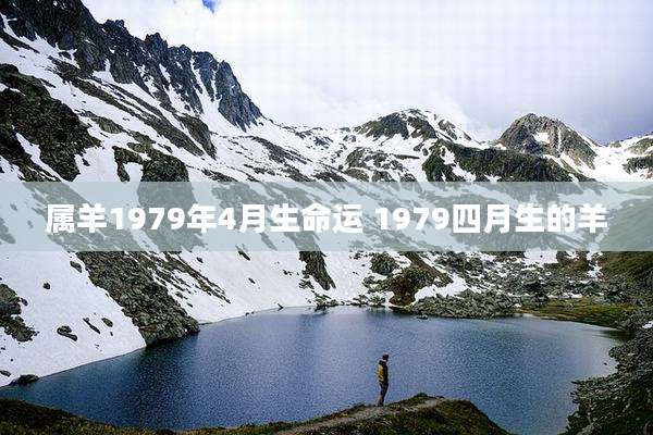 属羊1979年4月生命运 1979四月生的羊