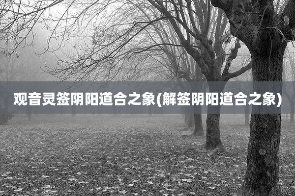 观音灵签阴阳道合之象(解签阴阳道合之象)