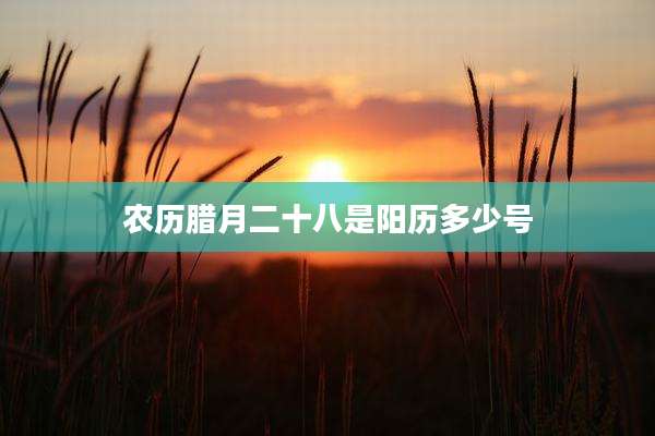 农历腊月二十八是阳历多少号
