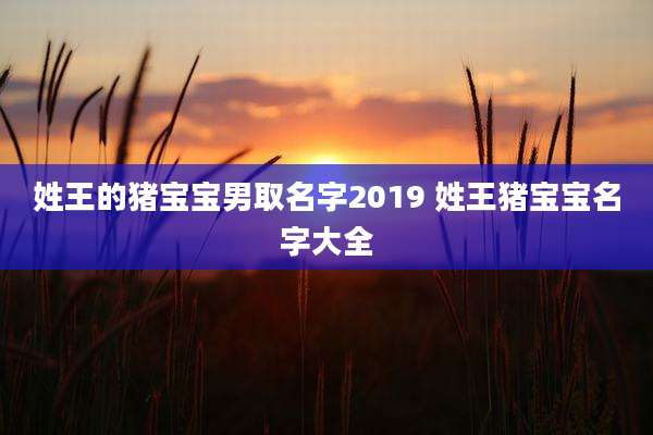 姓王的猪宝宝男取名字2019 姓王猪宝宝名字大全