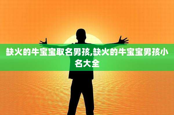 缺火的牛宝宝取名男孩,缺火的牛宝宝男孩小名大全