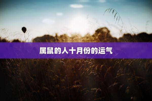 属鼠的人十月份的运气