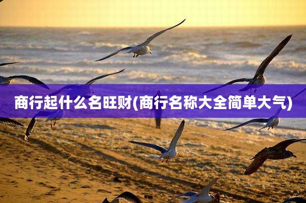 商行起什么名旺财(商行名称大全简单大气)